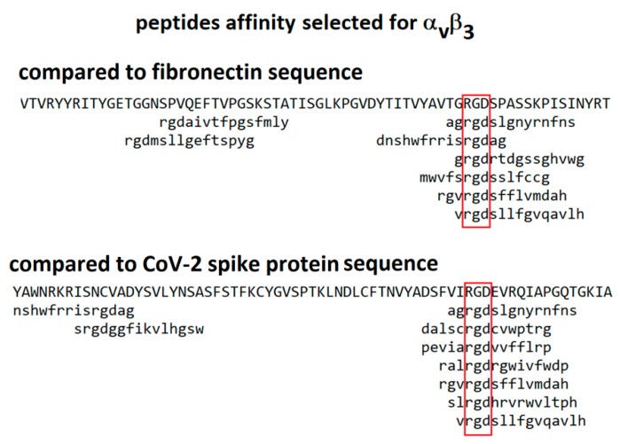 An external file that holds a picture, illustration, etc.
Object name is viruses-13-00146-g004.jpg