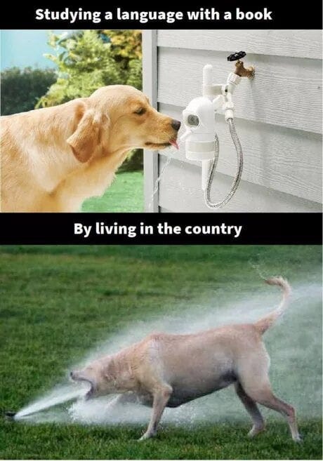 This is disturbingly accurate . : Second Language Strategies