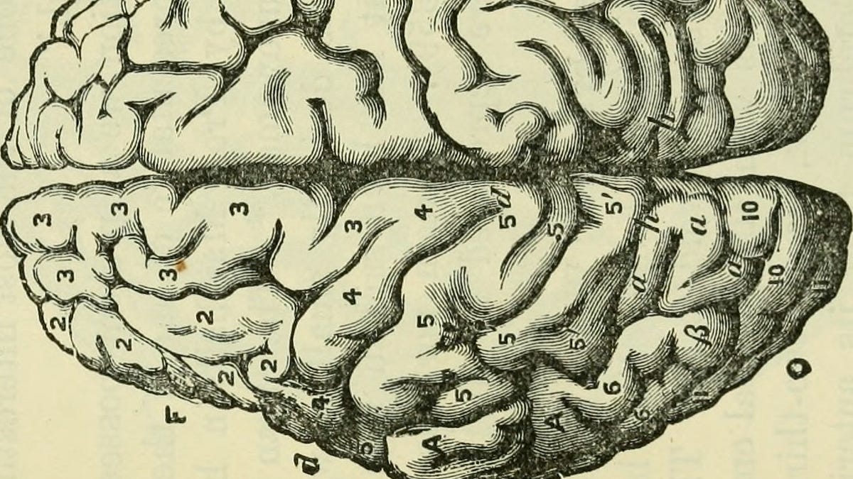 Advancing Neuroscientific Understanding of Brain-Behavior Relationship