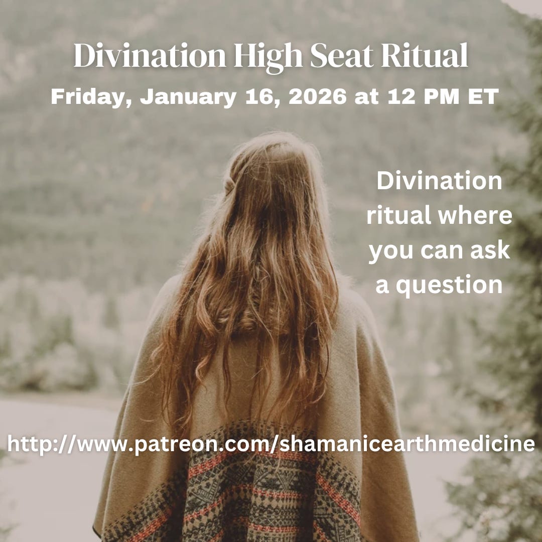 Back view of a woman wearing a patterned cloak, standing before a misty forest and mountain view. The image evokes a sense of quiet ritual, reflection, and connection to Norse mysticism-used to invite to an upcoming Divination High Seat Ritual with Odin.