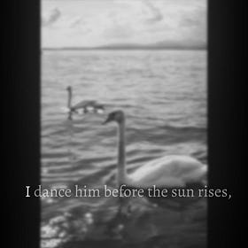 Permanent Swan