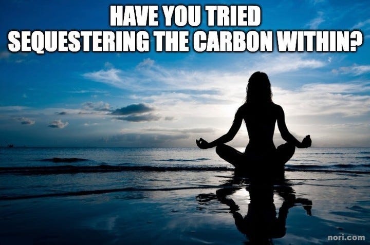 Silhouette of a person meditating cross-legged in shallow water at sunset, captioned "Have you tried sequestering the carbon within?"