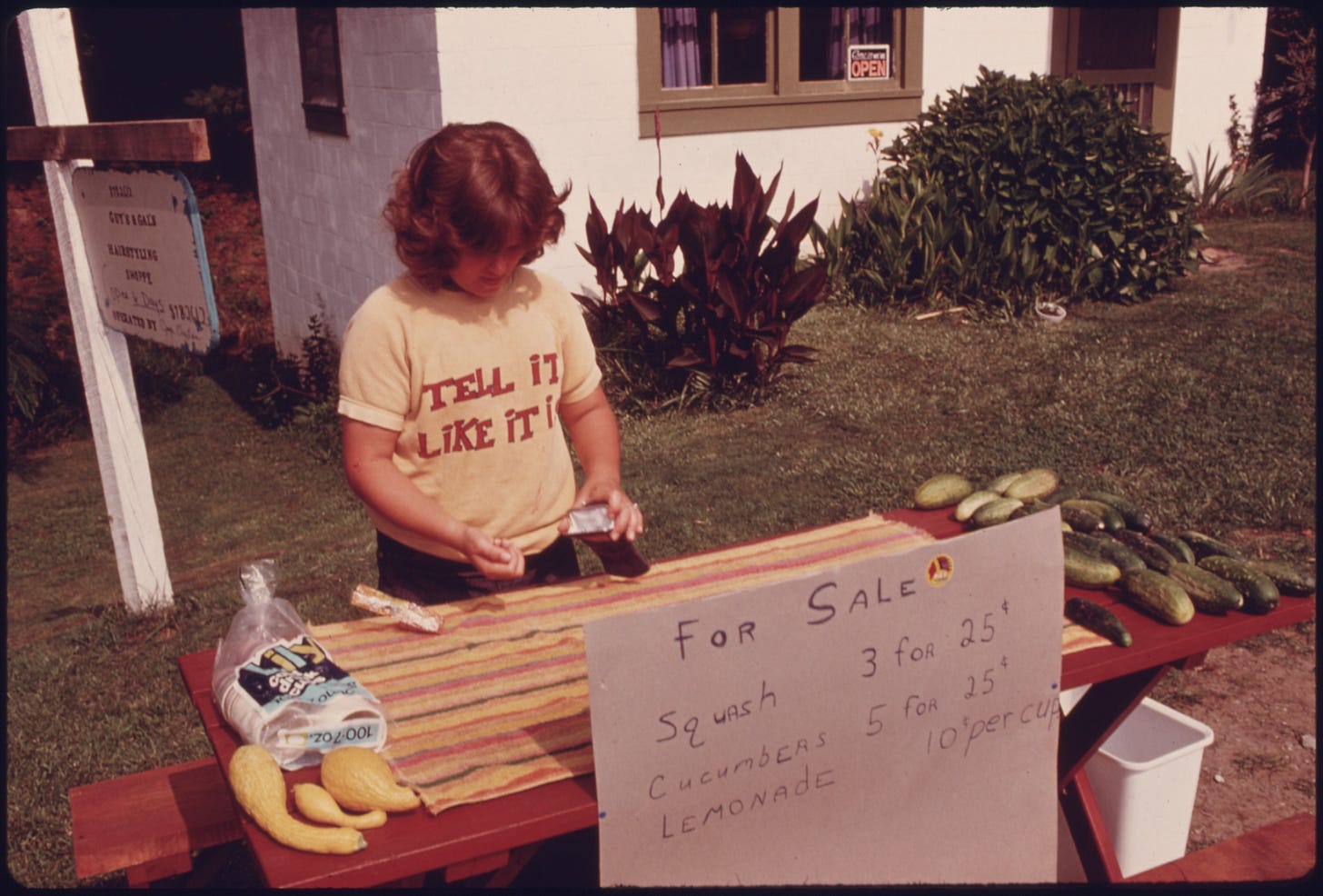 PD photo of a roadside lemonade/produce stand. Source: U.S. National Archives (NARA 557757), photographer Al Stephenson, July 1975, EPA. Public domain.