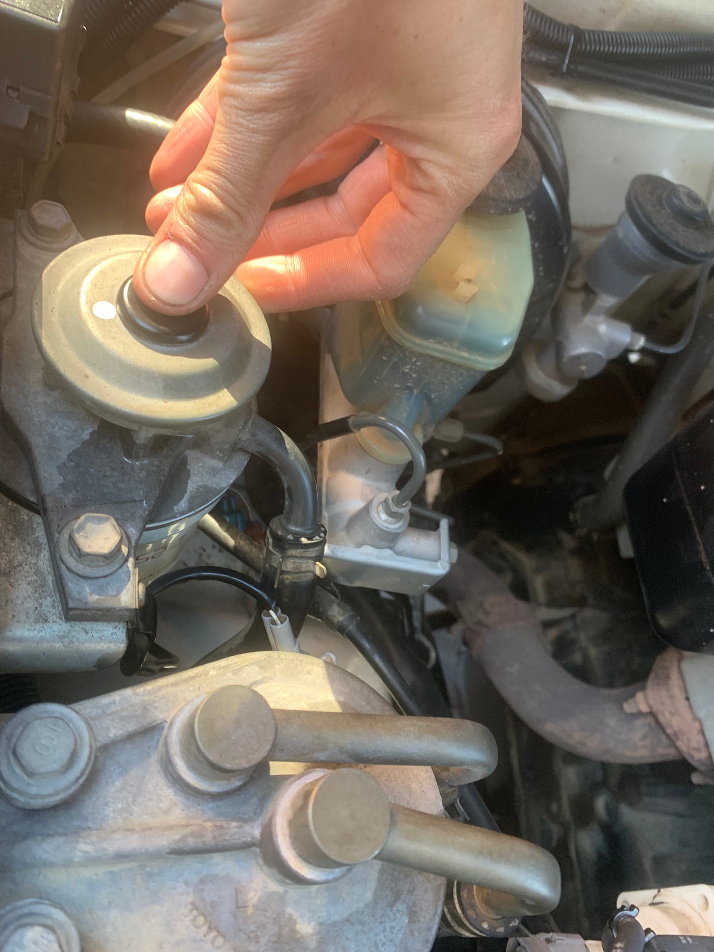 pump fuel filter before starting