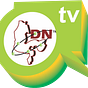 Kebbi Daily News's avatar