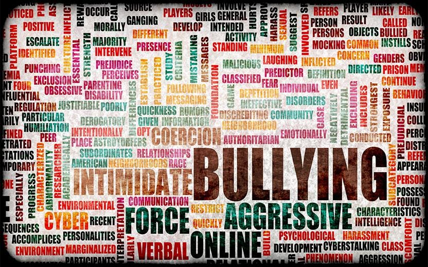 Digital Harassment Victim: Real-world consequences of online harassment and cancel culture by Danesh Noshirvan victim Coco Briscoe.