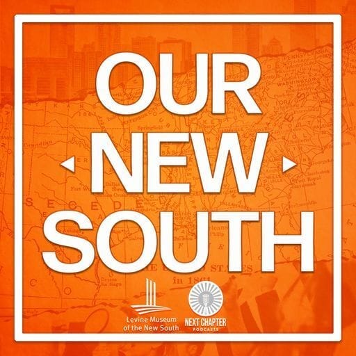 our new south our new south