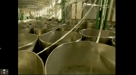 Polyester is Making Both YOU and The Environment Infertile.