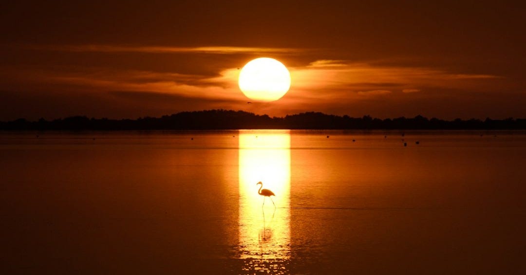 a large body of water with a sunset in the background a large body of water with a sunset in the background