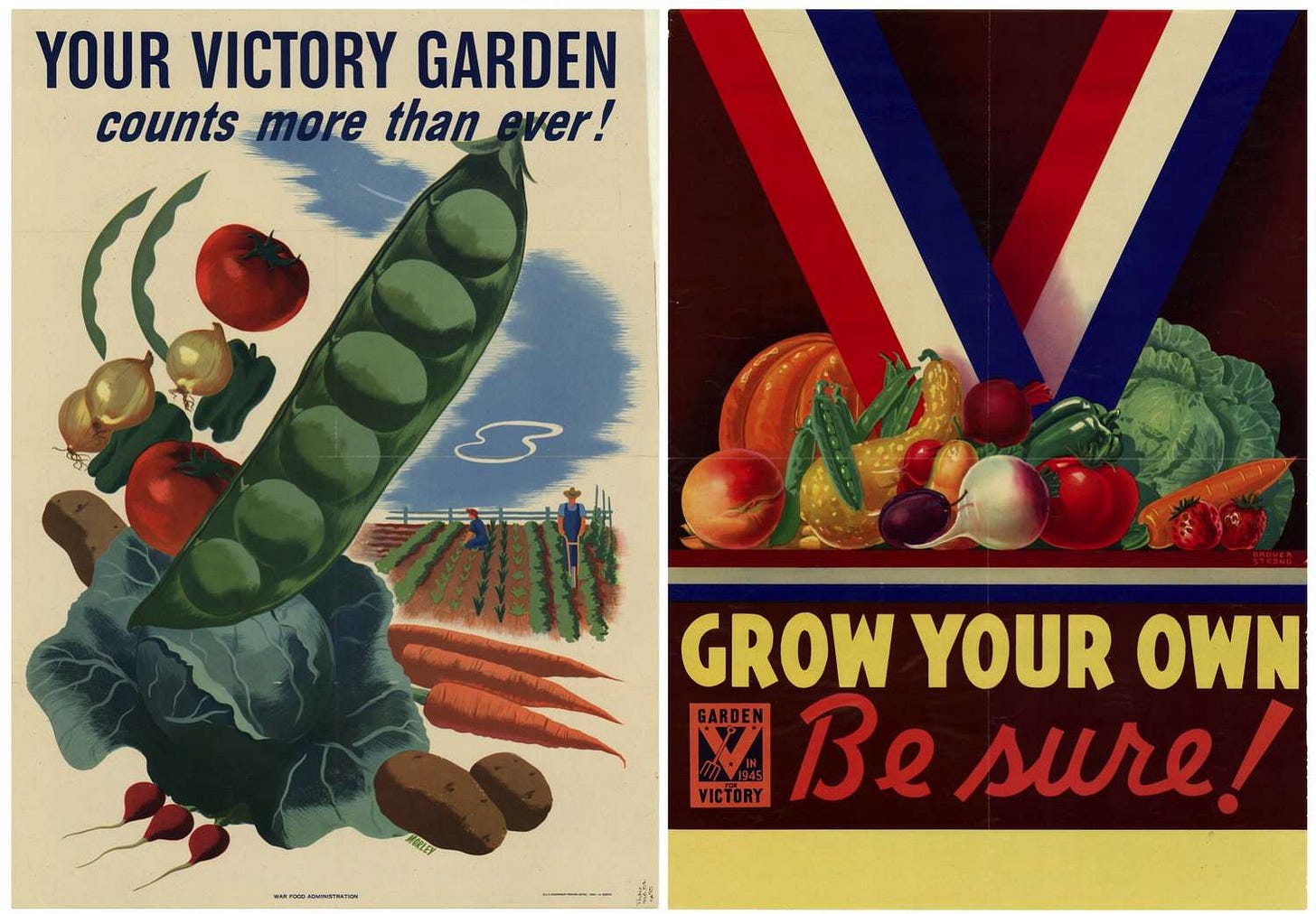 Grow Your Own to be sure!