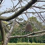 Sea Dream Press Substack