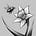 A honeybee in the meadow's avatar