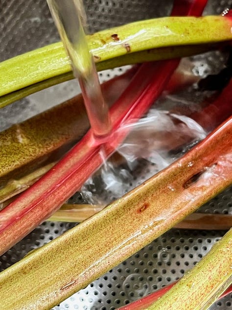 First image is of a plate with a brown-coloured ice cream and strawberries, second image is of green leave and purple sweet pea flowers, and finally some rhubarb getting washed in a kitchen sink.