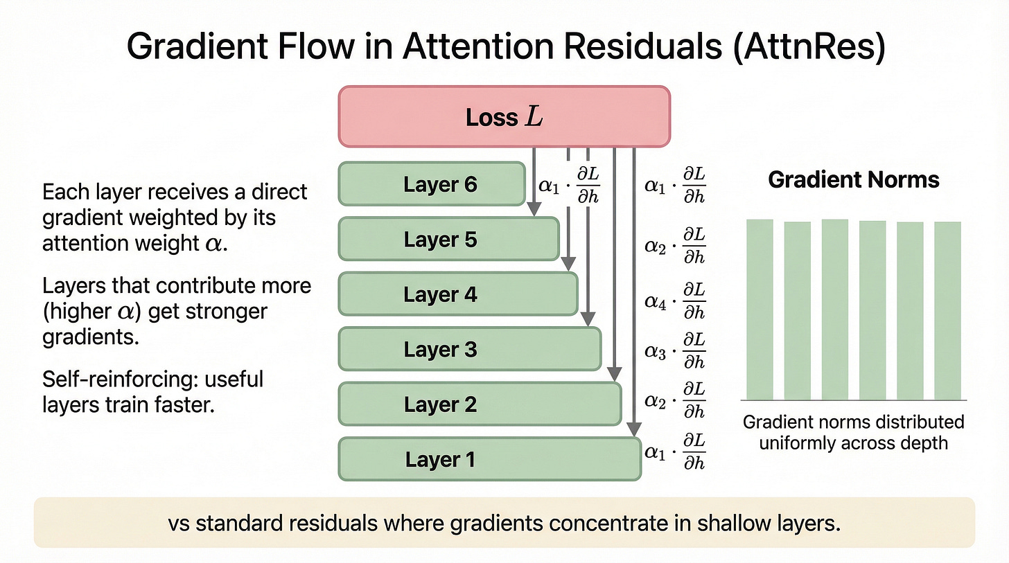 Figure 25. Gradient flow in AttnRes. Each layer receives a direct gradient signal weighted by its attention weight alpha. Layers that contribute more to the output (higher alpha) get proportionally stronger gradient signals. This creates a self-reinforcing learning dynamic: useful layers get trained more effectively. The bar chart shows gradient norms distributed much more uniformly across depth. Figure 25. Gradient flow in AttnRes. Each layer receives a direct gradient signal weighted by its attention weight alpha. Layers that contribute more to the output (higher alpha) get proportionally stronger gradient signals. This creates a self-reinforcing learning dynamic: useful layers get trained more effectively. The bar chart shows gradient norms distributed much more uniformly across depth.