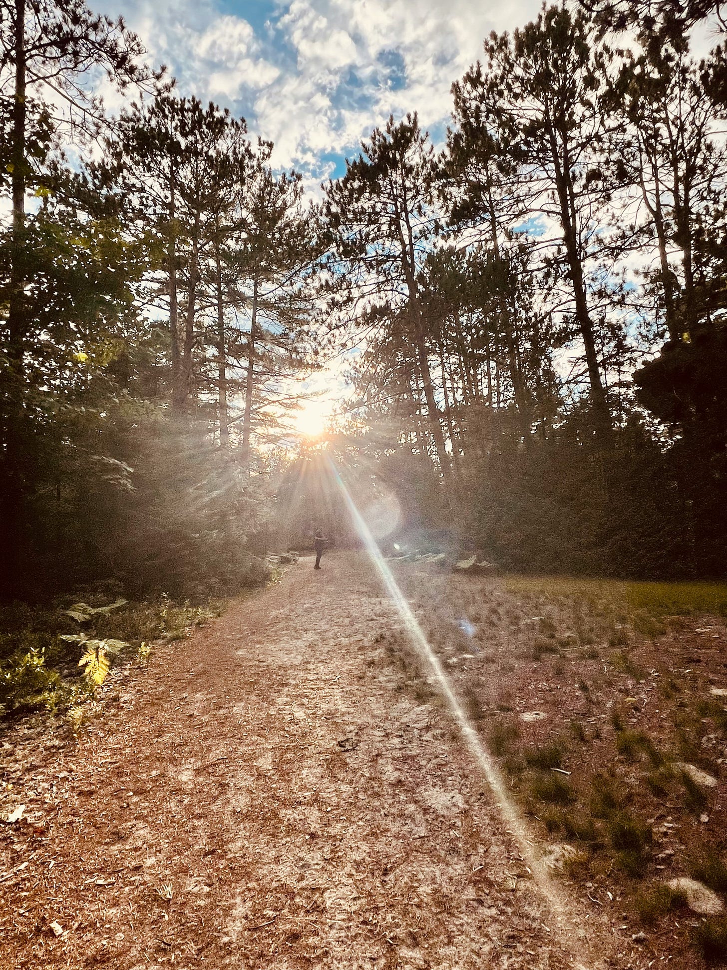Sunlight breaking through trees and refracting in rays over a bike trail with a runner in the distance Sunlight breaking through trees and refracting in rays over a bike trail with a runner in the distance