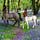 Graham the, "Sheffield City Centaur" 