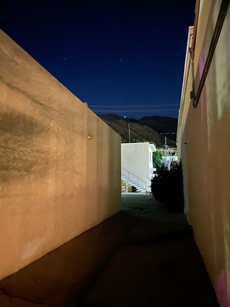 desert in palm springs, california