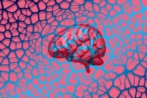 Illustration of human brain