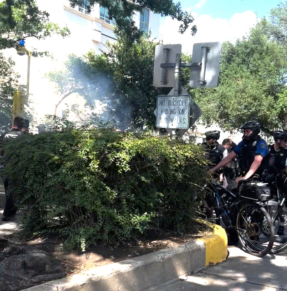 tear gas rises above bushes at a campus protest at UT Austin as police stand nearby
