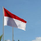 Investing in the Most Hated Asian Nation