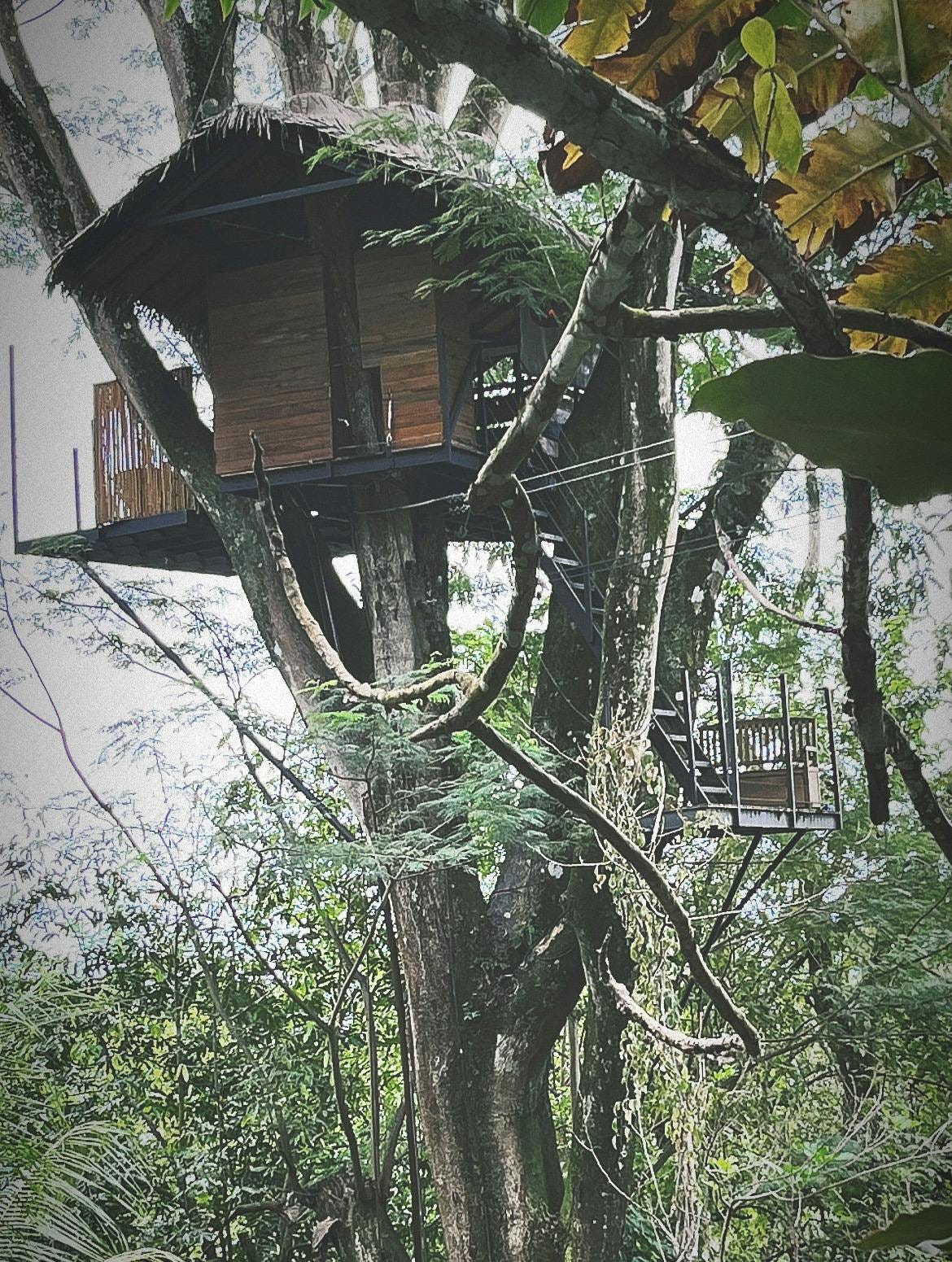 041: Choosing Life, Choosing You! 041: Choosing Life, Choosing You!