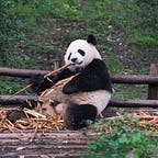 Capital Flows and Asset Markets