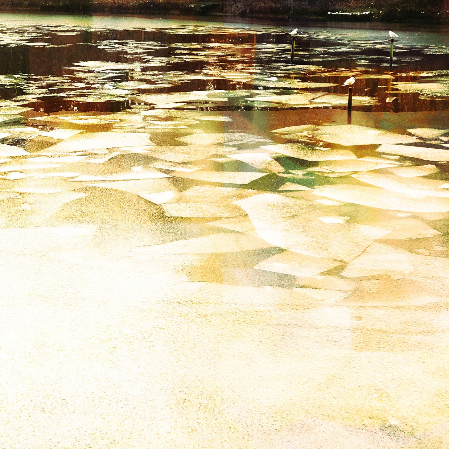 20201231-1318_44 Abney Hall Park.jpg