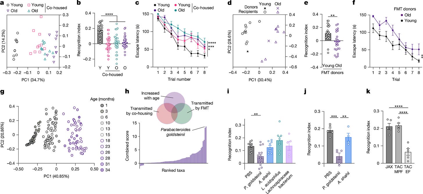 Fig. 1: Microbiome impact on age-associated cognitive decline. Fig. 1: Microbiome impact on age-associated cognitive decline.