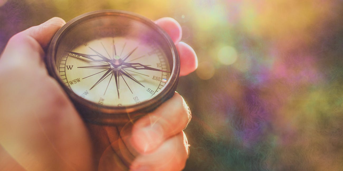 Navigating Life Through Divergent Means