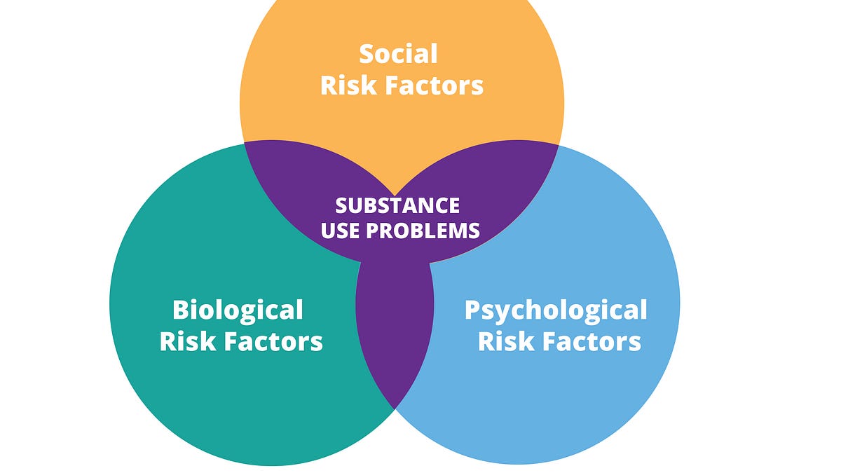 Addiction Models: A Comprehensive Overview