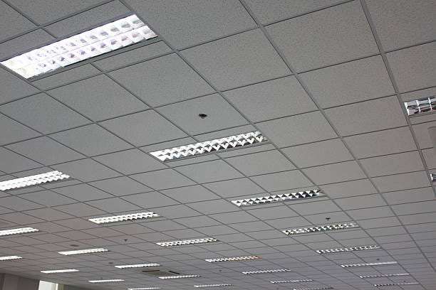 18,500+ Ceiling Tiles Stock Photos, Pictures & Royalty-Free Images - iStock