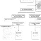 Deaths and Serious Adverse Events after the SpikoGen GMO Covid19 Jab