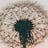Writing with Plants and Flowers, and the Magic Fountain