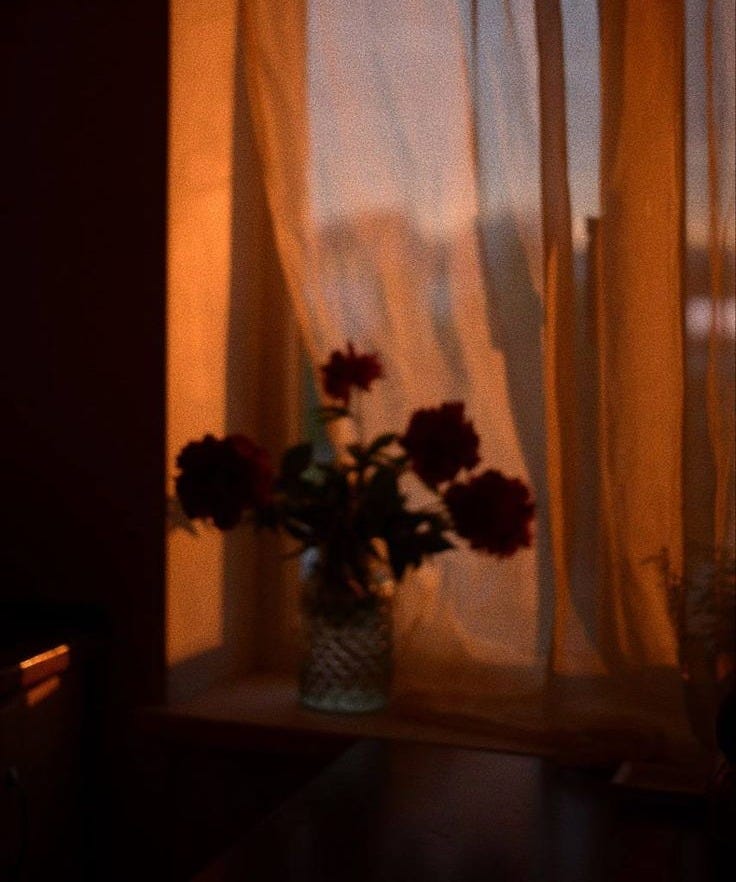 This may contain: a vase filled with red flowers sitting next to a window covered in sheer curtaines