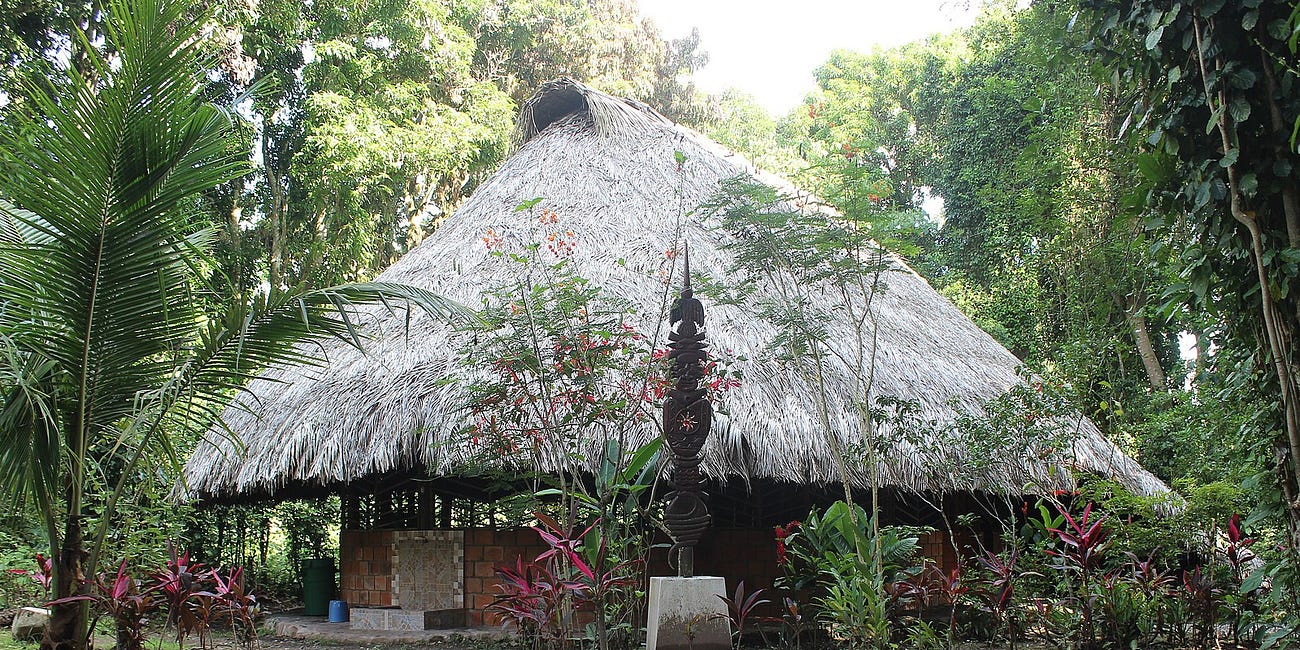 Tourisme de l’extase : l’ayahuasca entre visions et illusions