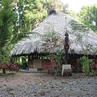 Tourisme de l’extase : l’ayahuasca entre visions et illusions