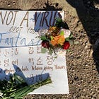 Guns Are Not What Could Kill Me 