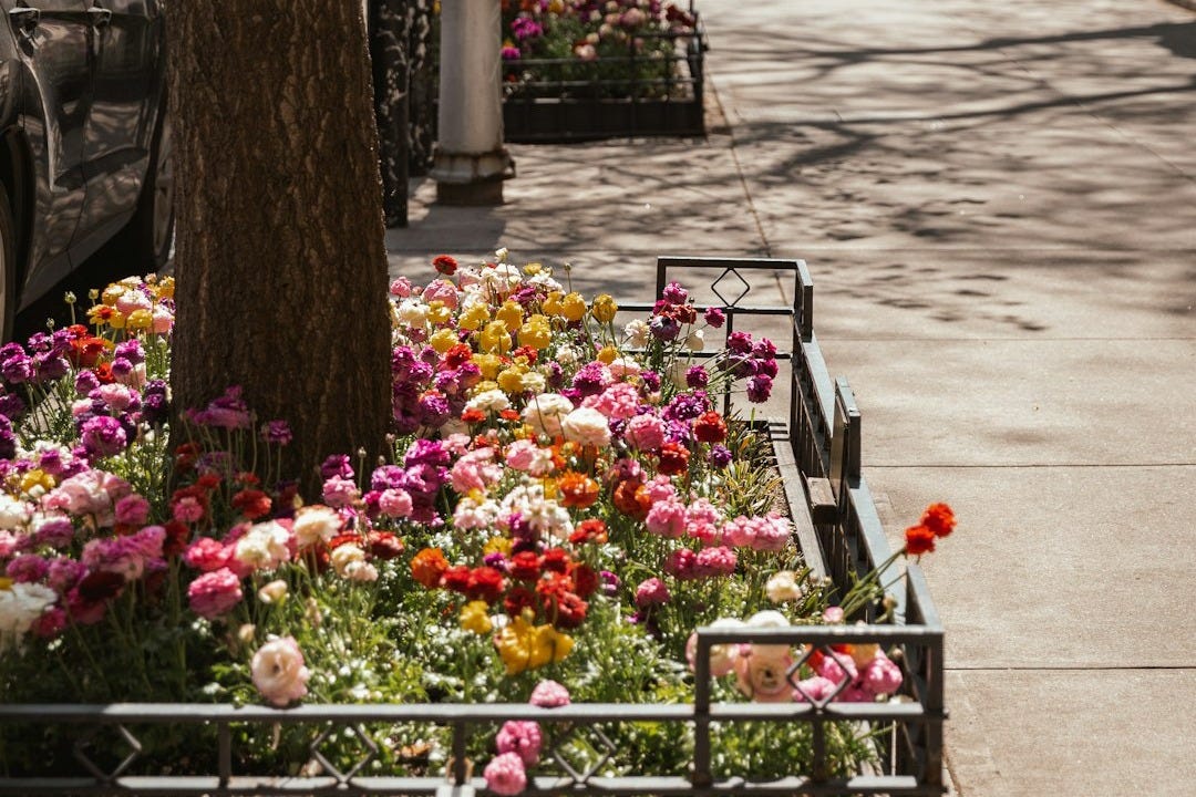 a bunch of flowers that are in a planter a bunch of flowers that are in a planter