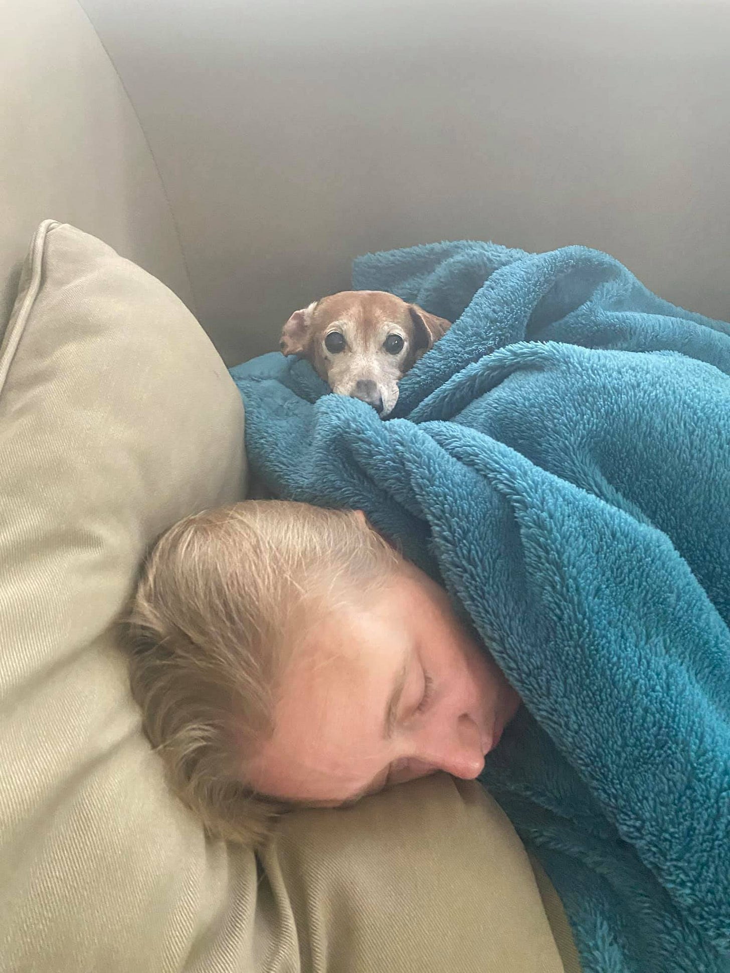 No photo description available.