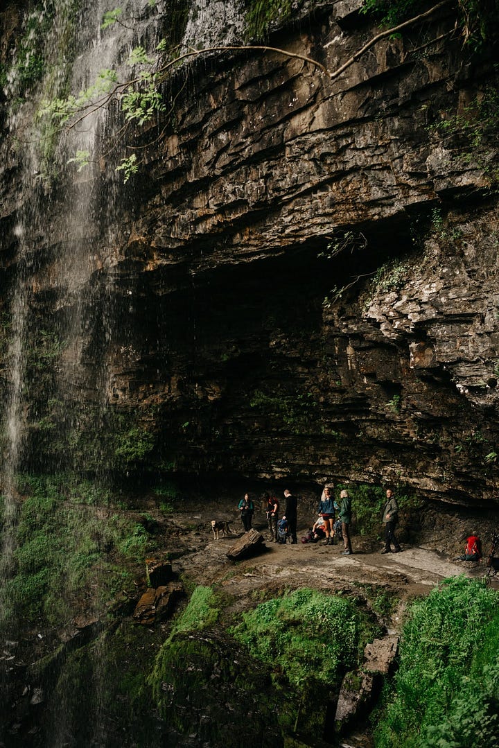 foraging in the brecon beacons