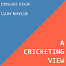 A Cricketing View
