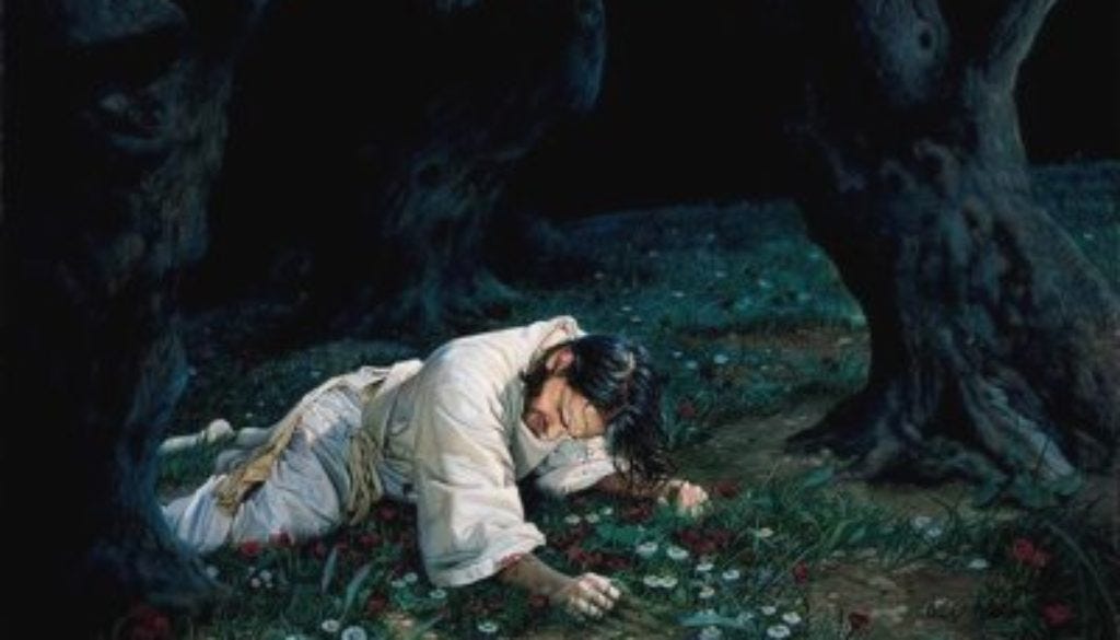 Jesus in the Garden | If I Walked With Jesus