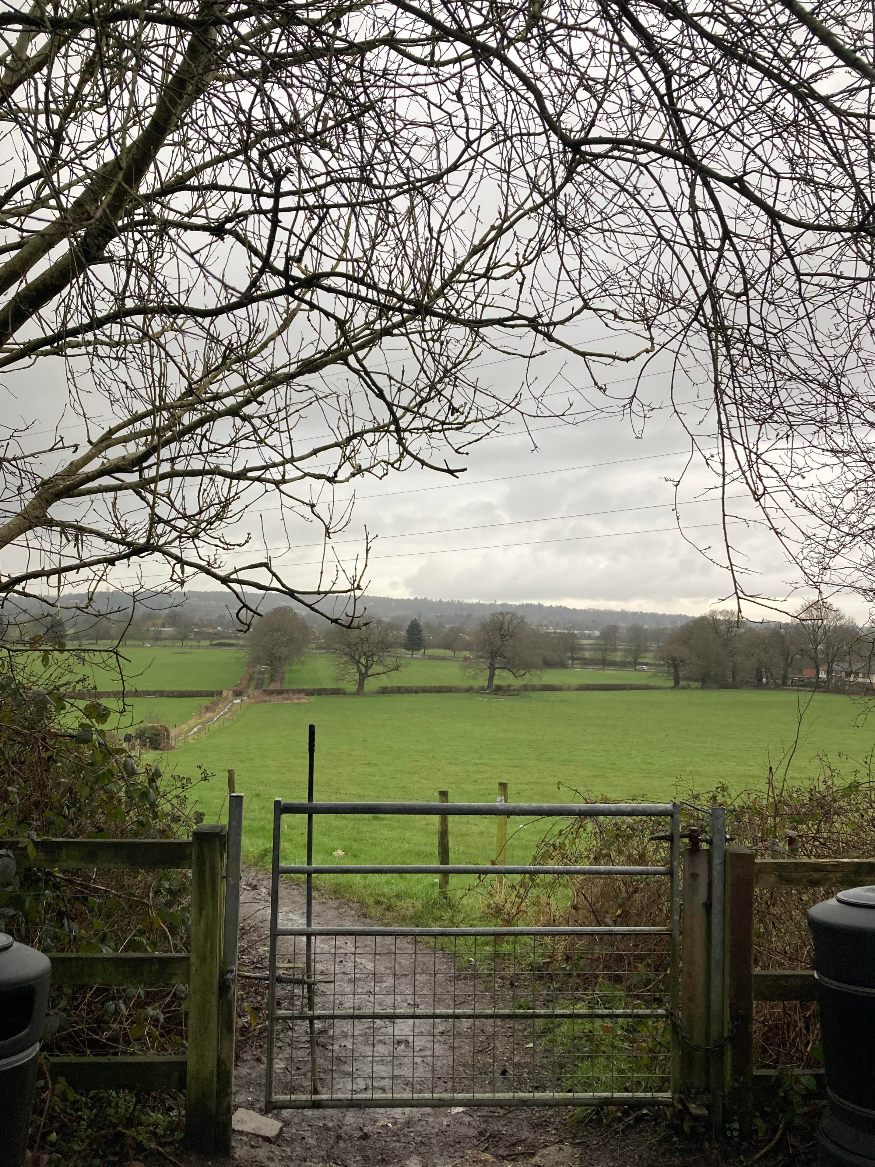 Grey suburban field Grey suburban field