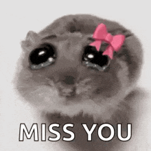 I Miss You Meme GIFs | Tenor I Miss You Meme GIFs | Tenor