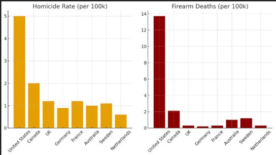 A graph of different colored bars

AI-generated content may be incorrect.