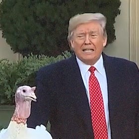 Trump Pardons His Turkeys