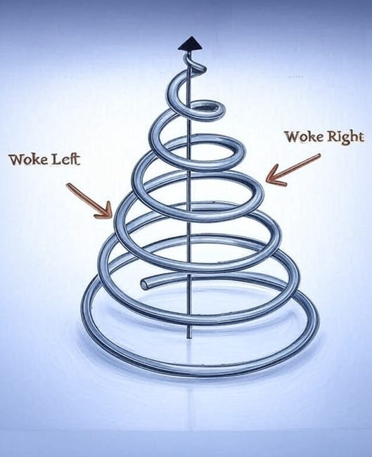 The Emergence Of The Woke Right