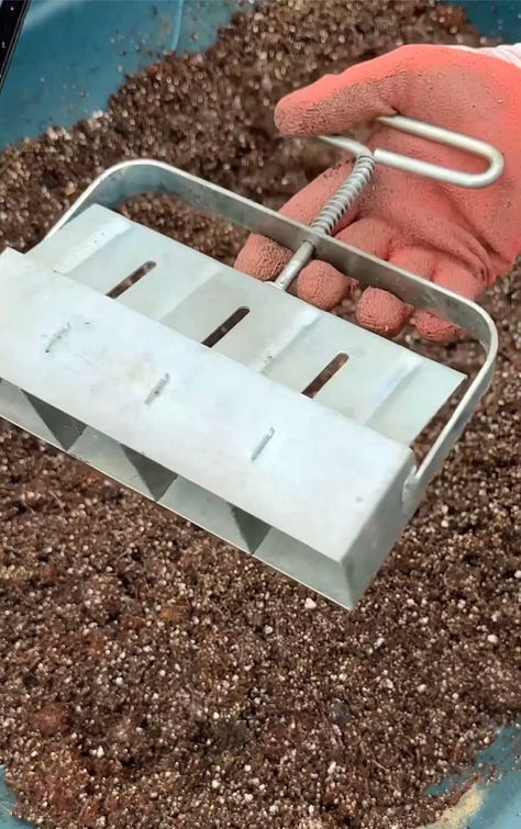 Six photos showing the progression from mixing soil to making soil blocks, planting seeds to getting sprouts.