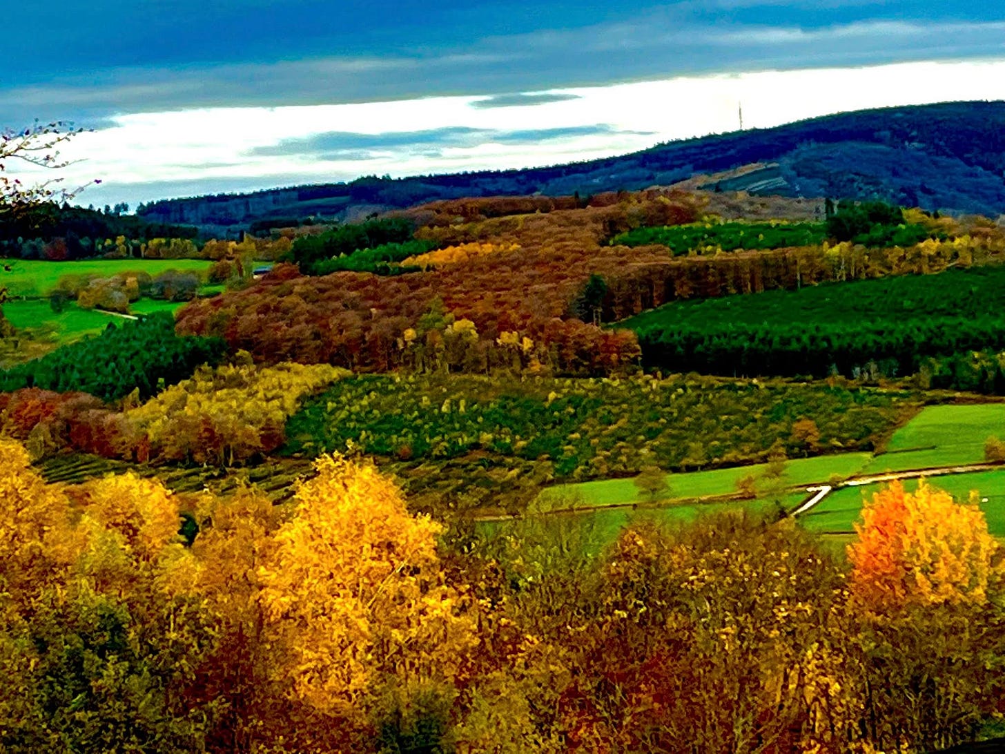 May be an image of silo, golf course and nature