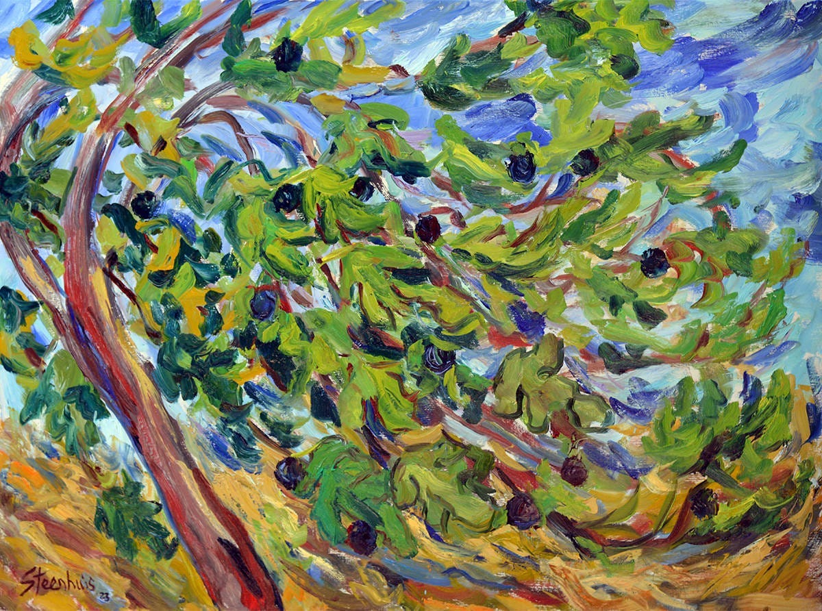 Fig Tree in the Wind - Art in Provence